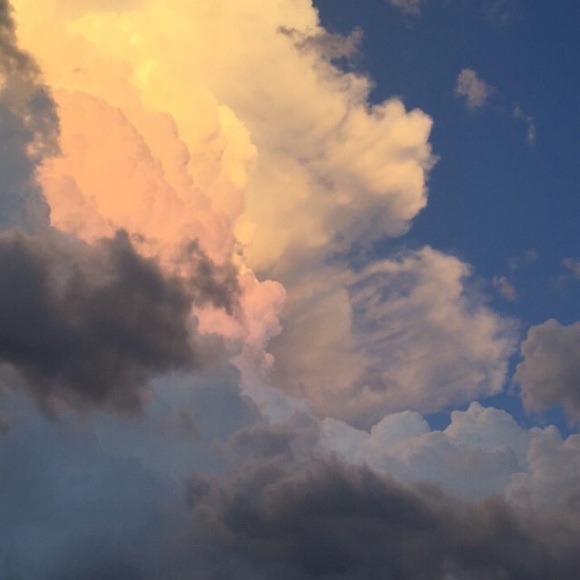 Poshmark Ambassador💕🙏🧿💕💫 5 Star Seller - Picture 7 of 16